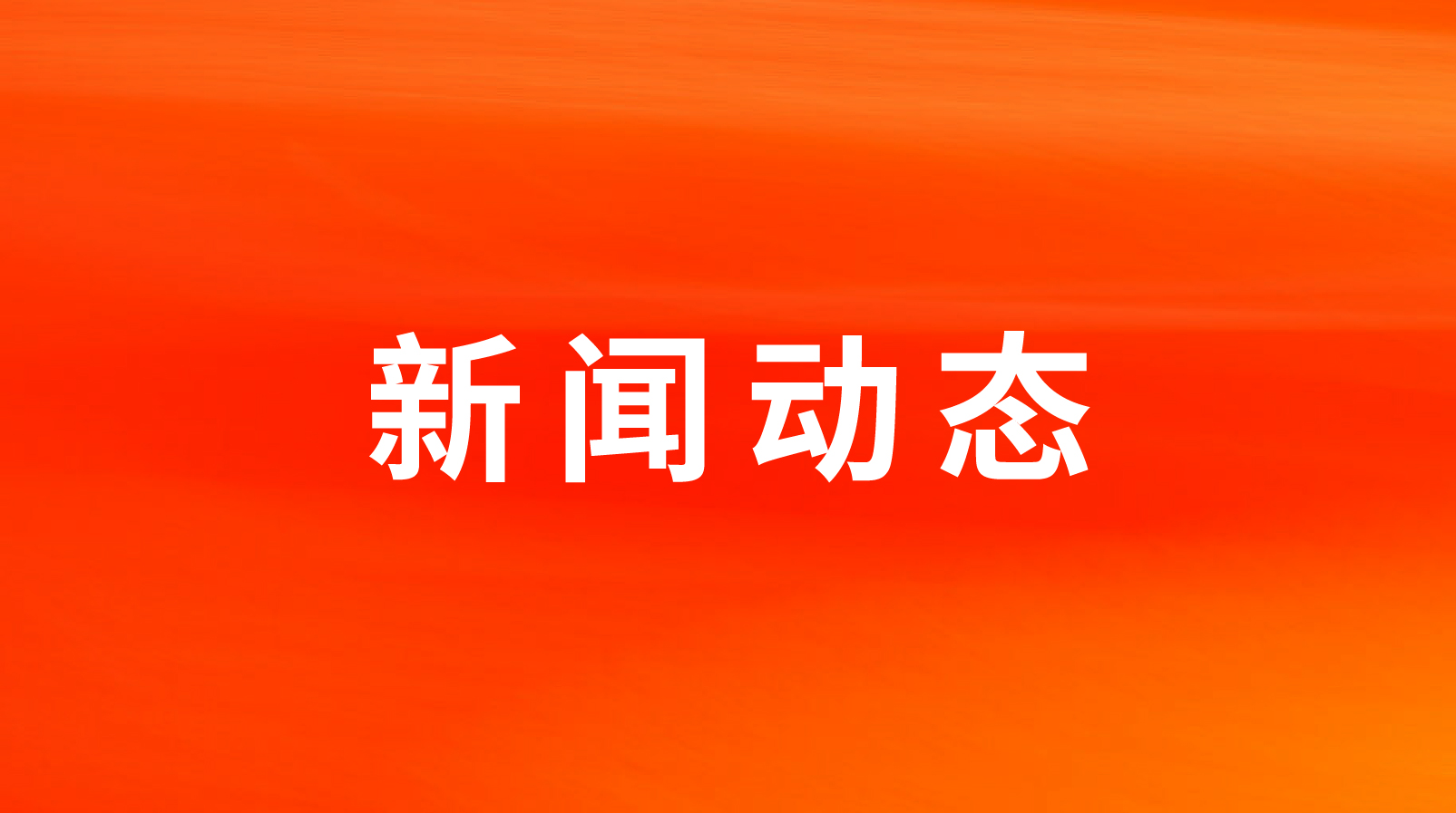 ʱʳٻ2023лʳϲķʳСƷ